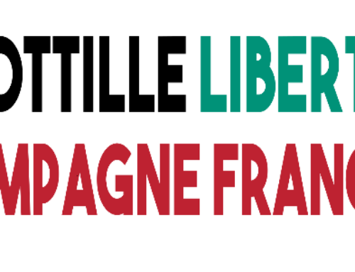 Campagne française flottille de la liberté pour Gaza !