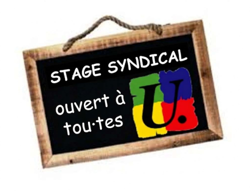 [Stage de formation syndicale : 16.06.2026] : La voix, un outil d’enseignement à préserver !