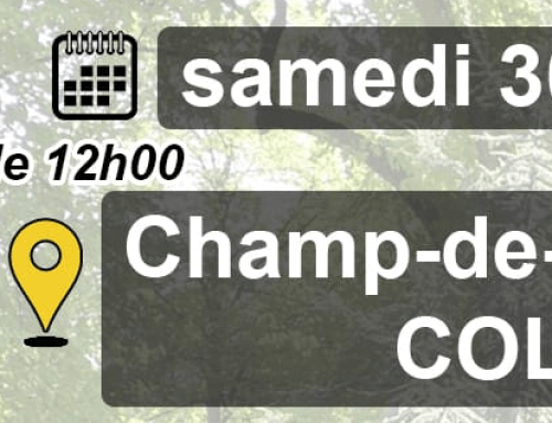 [30 mai 2026 à Colmar] Pique-nique républicain : un événement fraternel et inclusif ouvert à toutes et tous !